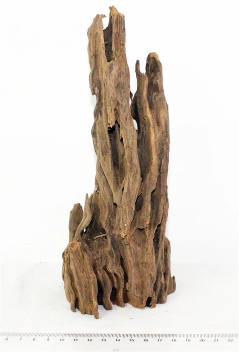 Коряга-эксклюзив Дракон S №12 PR-080188-12