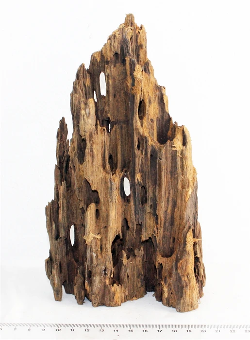 Коряга-эксклюзив Дракон S №19 PR-080188-19