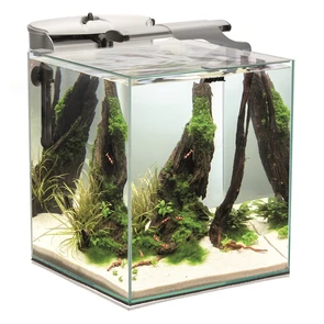 {{photo.Alt || photo.Description || 'AQUAEL Shrimp Set DUO LED 2.0 49л аквариум белый, 35х35х40см'}}