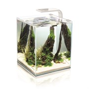 AQUAEL Shrimp Set Smart II 30 л - аквариум белый