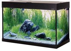 Aquaplus PRO 170 литров (цвет-венге) - аквариум, спроектированный специально для выращивания растений (без тумбы)