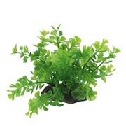 ArtUniq Caryota green 10-12 - Искусственное растение Кариота зеленая, 10-12 см