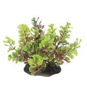 ArtUniq Caryota red-green 10-12 - Искусственное растение Кариота красно-зеленая, 10-12 см