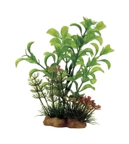 ArtUniq Ludwigia mix 13 - Композиция из искусственных растений Людвигия, 10x5x13 см ART-1130908