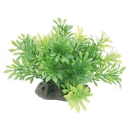 ArtUniq Micranthemum 10-12 - Искусственное растение Микрантемум, 10-12 см