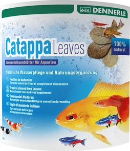 Dennerle Catappa Leaves 10 шт. (на 1000 литров воды) - Листья миндального дерева Den-2744