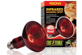 Hagen Exoterra Infrared Baskimg Spot 150 Вт - лампа для ночного освещения