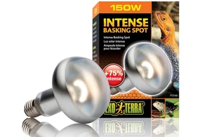 {{photo.Alt || photo.Description || 'Hagen Exoterra Intense Baskimg Spot 150 Вт - лампа для принятия солнечных ванн'}}