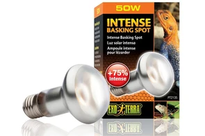 {{photo.Alt || photo.Description || 'Hagen Exoterra Intense Baskimg Spot 50 Вт - лампа для принятия солнечных ванн'}}