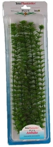 Tetra Ambulia 38 см - растение для аквариума 607071