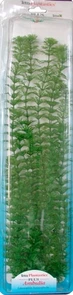 Tetra Ambulia 46 см - растение для аквариума 607132