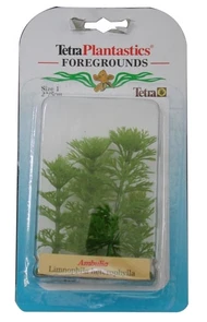 Tetra Ambulia 5 см - растения для аквариума 606265