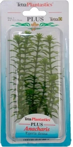 Tetra Anacharis 15 см - растение для аквариума 606883