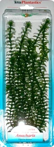 Tetra Anacharis 30 см - растение для аквариума 607002