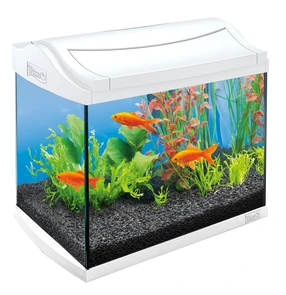 {{productViewItem.photos[photoViewList.activeNavIndex].Alt || productViewItem.photos[photoViewList.activeNavIndex].Description || 'Tetra AquaArt 20 литров (белый)'}}
