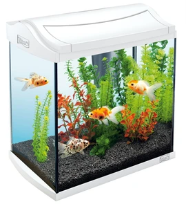 {{productViewItem.photos[photoViewList.activeNavIndex].Alt || productViewItem.photos[photoViewList.activeNavIndex].Description || 'Tetra AquaArt 30 литров (белый)'}}