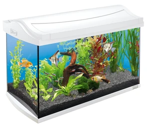 {{productViewItem.photos[photoViewList.activeNavIndex].Alt || productViewItem.photos[photoViewList.activeNavIndex].Description || 'Tetra AquaArt 60 литров (белый)'}}