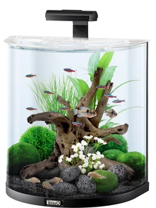 {{photo.Alt || photo.Description || 'Tetra AquaArt Explorer Line 60л - аквариум со встроенным фильтром и LED-освещением'}}