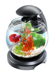 {{photo.Alt || photo.Description || 'Tetra Cascade Globe 6,8 л - круглый аквариум с фильтром'}}