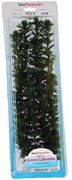 Tetra Green Cabomba 38 см - растение для аквариума