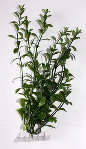 Tetra Hygrophila 30 см - растение для аквариума 607033