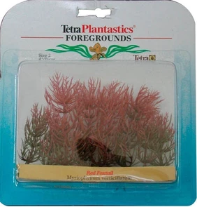 Tetra Red Foxtail 10 см - растение для аквариума 606876