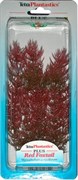Tetra Red Foxtail 23 см - растение для аквариума 606999