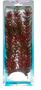 Tetra Red Foxtail 30 см - растение для аквариума