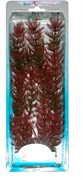 Tetra Red Foxtail 30 см - растение для аквариума 607057