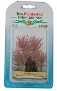 Tetra Red Foxtail 5 см - растение для аквариума 606814