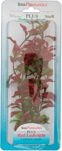 Tetra Red Ludwigia 23 см - растение для аквариума 606982
