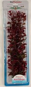 Tetra Red Ludwigia 38 см - растение для аквариума