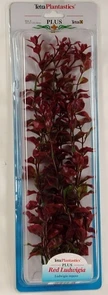 Tetra Red Ludwigia 38 см - растение для аквариума 607101