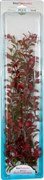 Tetra Red Ludwigia 46 см - растение для аквариума