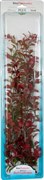Tetra Red Ludwigia 46 см - растение для аквариума 607163
