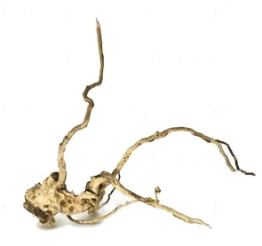 Udeco desert Driftwood L - коряга для оформления аквариума, 40-50 см 282.UDC10160