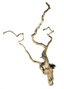 Udeco desert Driftwood S - коряга для оформления аквариума, 20-30 см