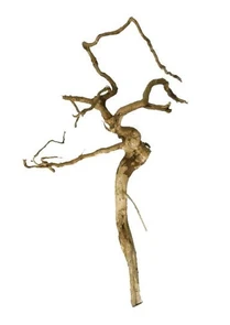 Udeco desert Driftwood XS - коряга для оформления аквариума, 15-20 см 282.UDC10130