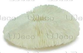 UDeco Disk Coral S - Коралл дисковидный маленького размера для оформления аквариумов, 1 шт.