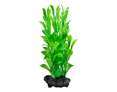 Tetra Hygrophila 23 см - растение для аквариума