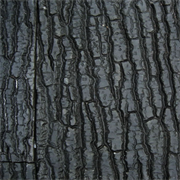 Juwel - фон рельефный - кора дерева - 50 х 59,5 см
