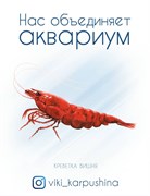 Открытка "Креветка вишня" - Нас объединяет аквариум (с) Виктория Карпушина