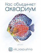 Открытка "Дискус" - Нас объединяет аквариум (с) Виктория Карпушина