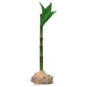 Tetra Бамбук S (15 см) - декоративное искусственное растение