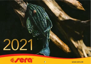 {{photo.Alt || photo.Description || 'Календарь sera на 2021 год - в подарок при заказе от 10.000 рублей'}}