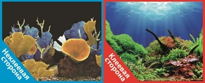 Фон двусторонний 100x50см с одной самоклеящейся стороной Морские кораллы/Подводный мир (СК) PR-040874