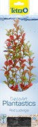 Tetra Red Ludwigia 30 см - растение для аквариума