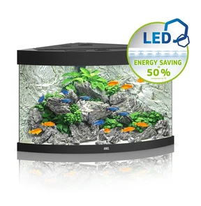{{photo.Alt || photo.Description || 'Juwel TRIGON 190 LED аквариум 190л черный (Black) 98,5х70х60см 2х14W Фильтр Bioflow M, нагреватель 200 Вт'}}