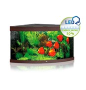 Juwel TRIGON 350 LED аквариум 350л темное дерево (dark wood) 123х87х65см 2х12W/2х23W Фильтр Bioflow XL,