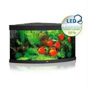 Juwel TRIGON 350 LED аквариум 350л черный (black) 123х87х65см 2х12W/2х23W Фильтр Bioflow XL, нагреватель 300 Вт